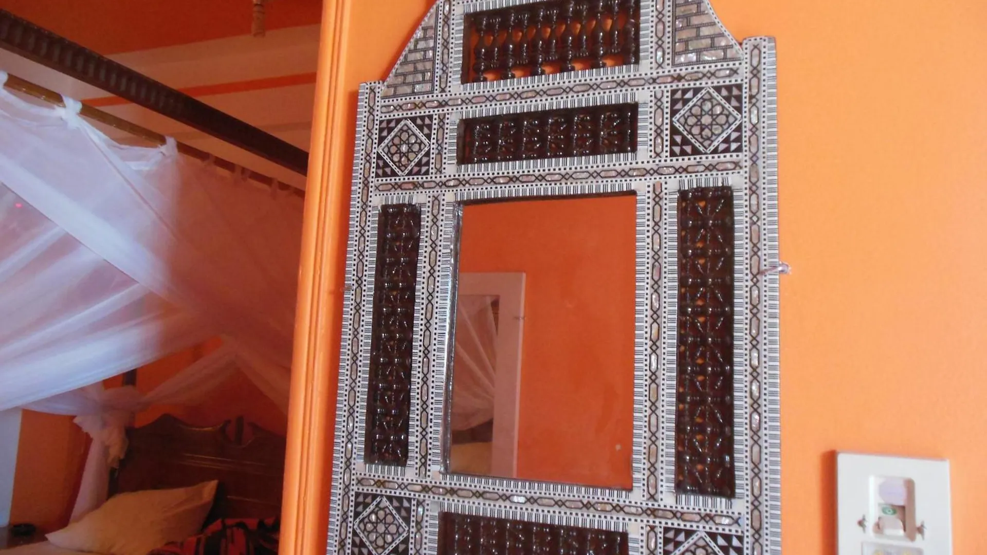 Cleopatra Hotel Luxor contacts