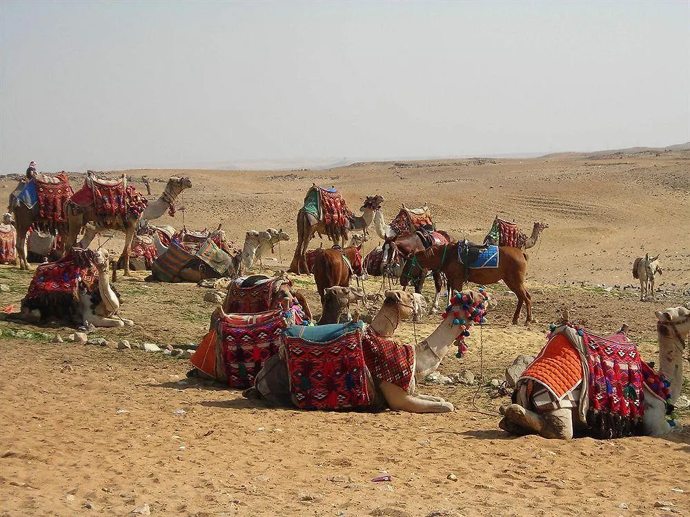 فندق كليوباترا الاقصر الأقصر