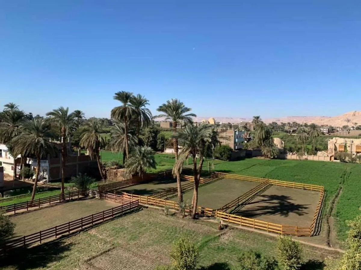**  فندق كليوباترا الاقصر الأقصر مصر